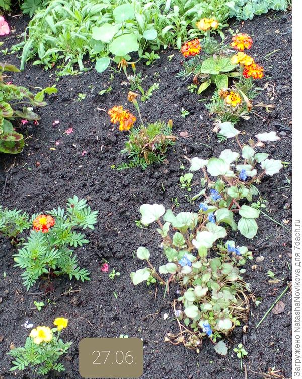 всё залило и замыло((