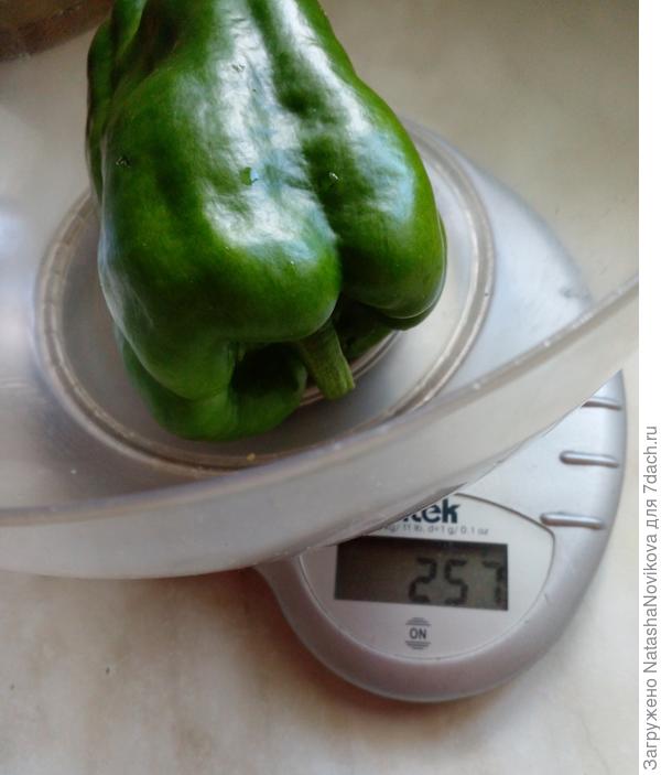 вроде и не тяжёлые, начала поливать и видимо не расчитала((