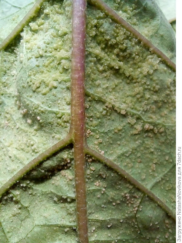 просто кошмар((