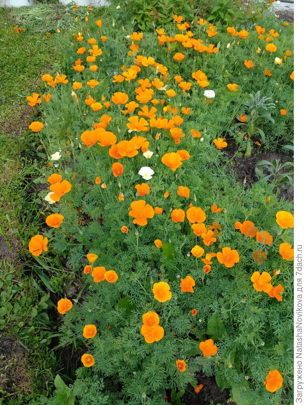 самый жаркий день впереди - будем наблюдать))