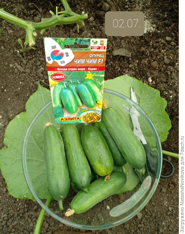 сегодня утречком