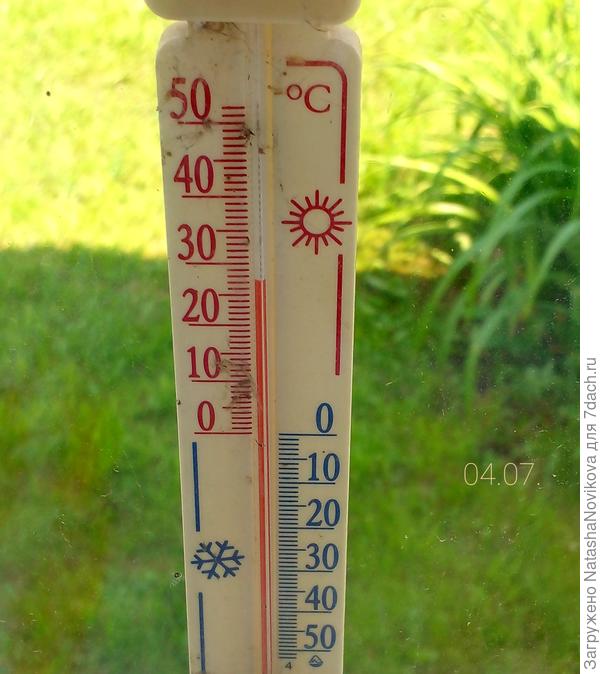 в тени +28°, одна беда - комаров тучи