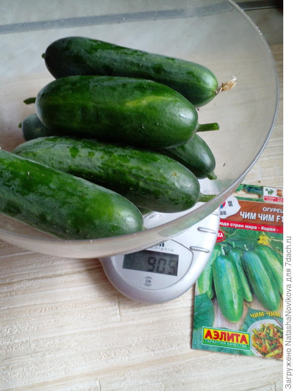 сегодня начали просыпаться))