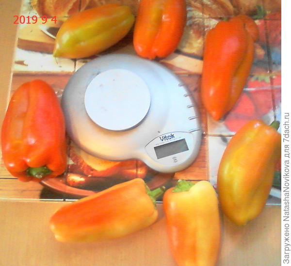 спели в доме на кухне