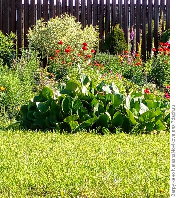 с утра на солнце +30°, ура, лето))