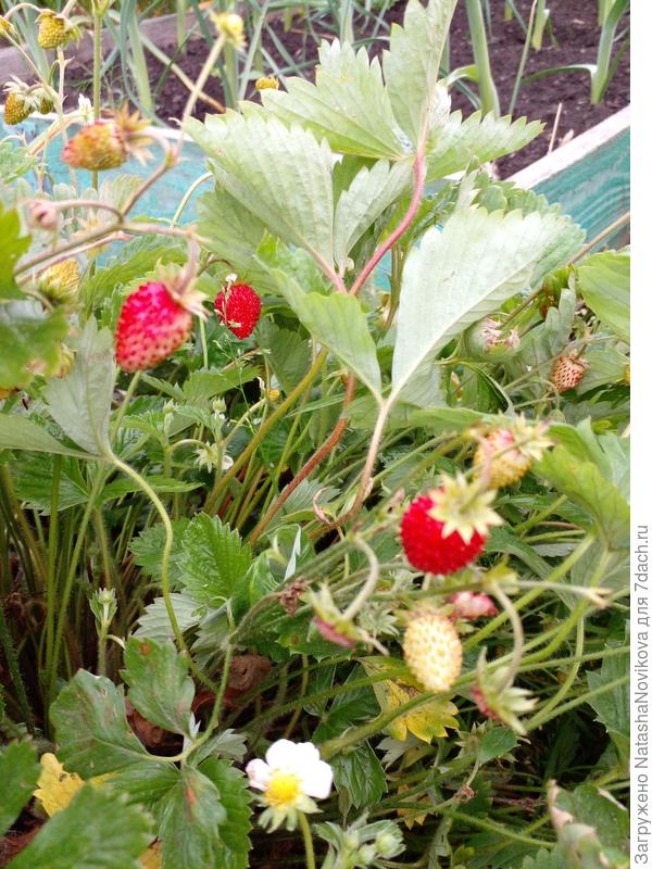 всё мокрое((