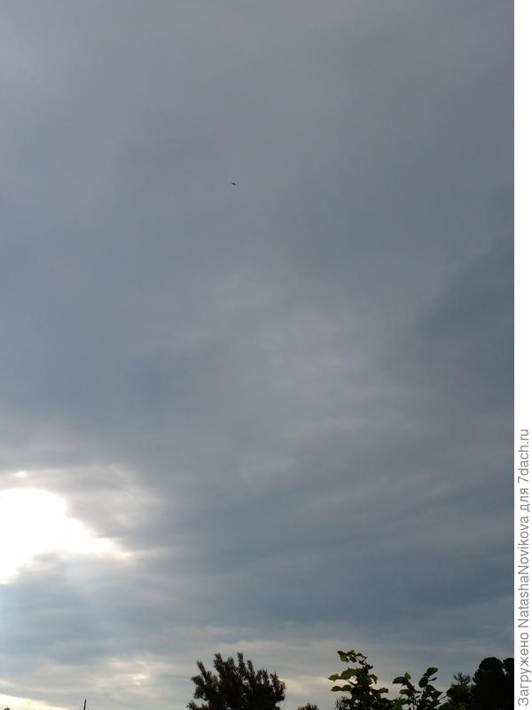 только что((