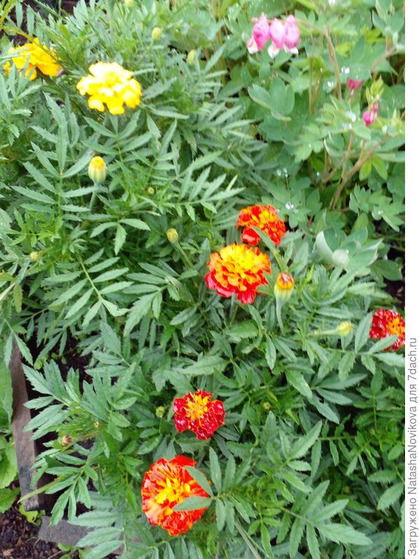 а здесь почти лето))