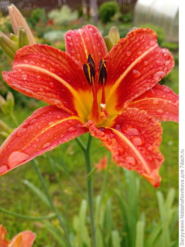 я скучаю по лету