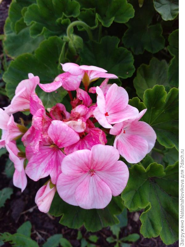 всё проснулось, обсыхает и оживает))