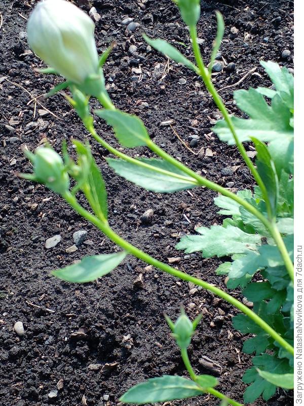 поищу в интернете