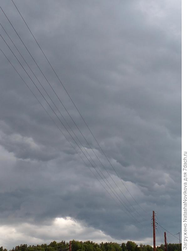 летоооо, вернись...