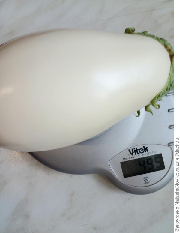 &quot;бибо&quot; в тот же день, но этот гибрид уже классика