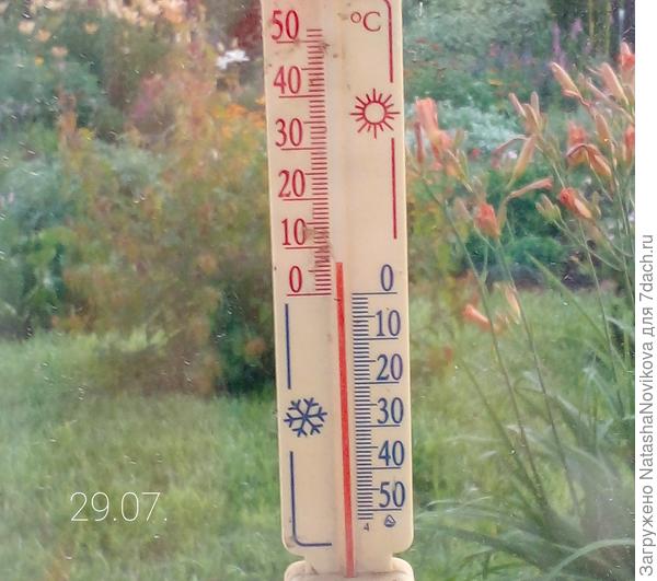 сегодня утром +7°