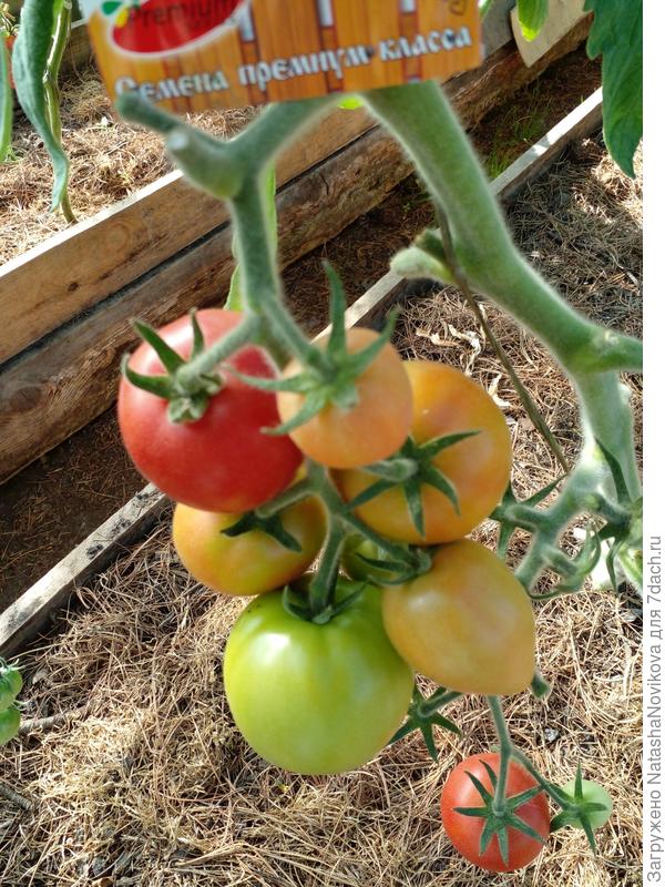 любимые теперь)) всё пошла работать, до встречи))