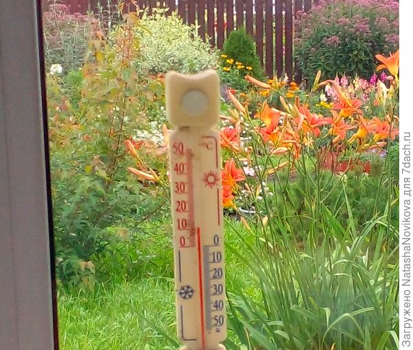 лето, 13 августа, +10°((