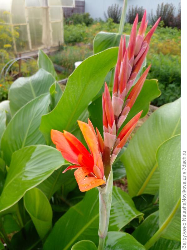 хватит уже лить((