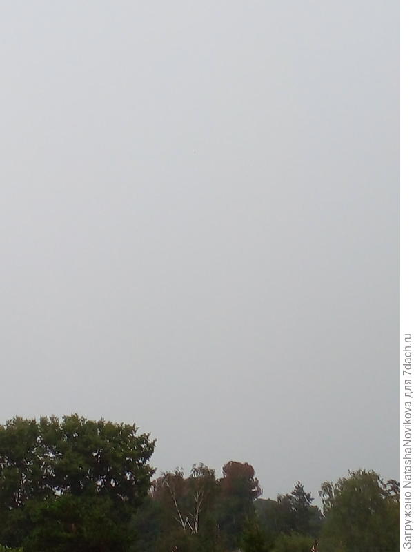 Солнышко, возвращайся, ещё ведь август.