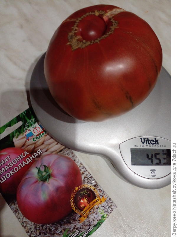 почти 0,5 кг тяжеленький, росли на сухом пайке, если бы поливала по норме может и не трескались бы