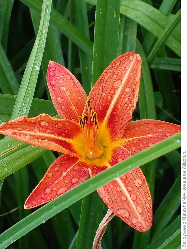 за окном всего +14°