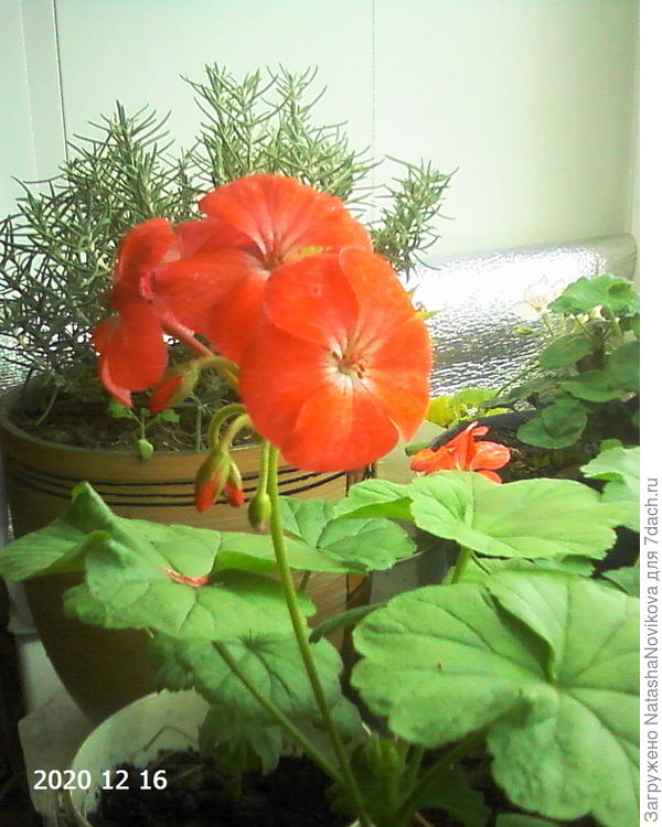 эта замёрзла