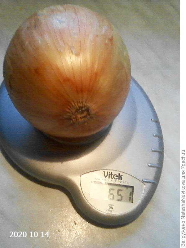 потом стал красавцем