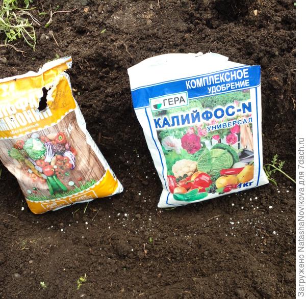 оказывается в сезон 2021 года я даже &quot;фертику&quot; не применяла, но болячки не заставляли себя ждать