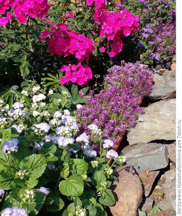 почти безуходный