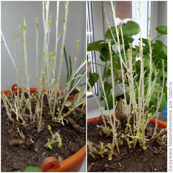 были такими