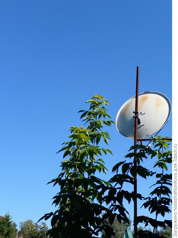 три метра, не знаю как весной выйдет))