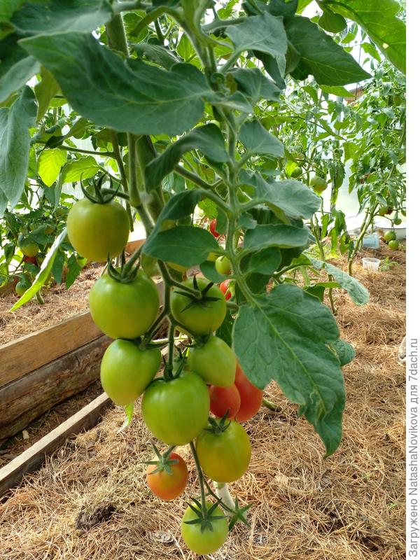 в один ствол