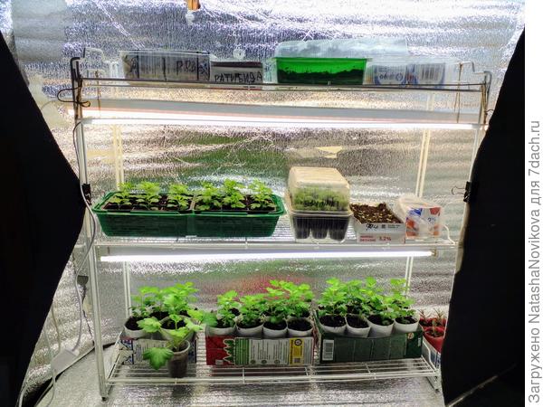 общий вид, я его слепила из того что было))