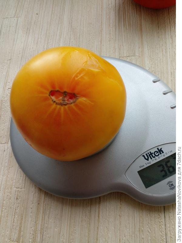 кожица тонкая, просвечивала