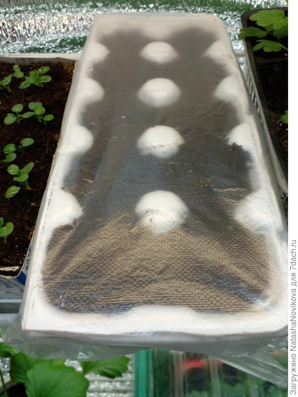 и под лампу))