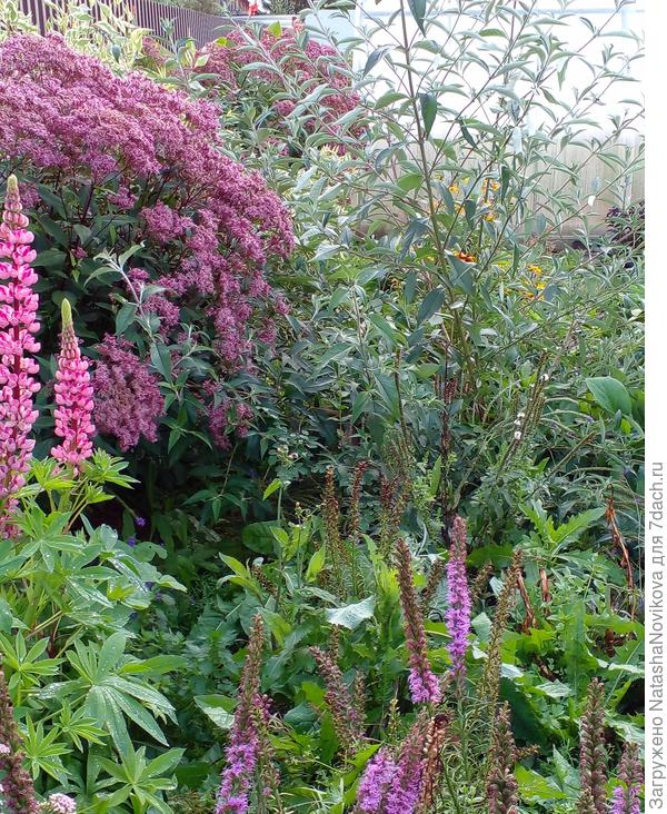 12 сентября 2021 года