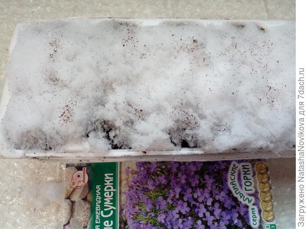 эта то же в таких же ячейках, на снег))