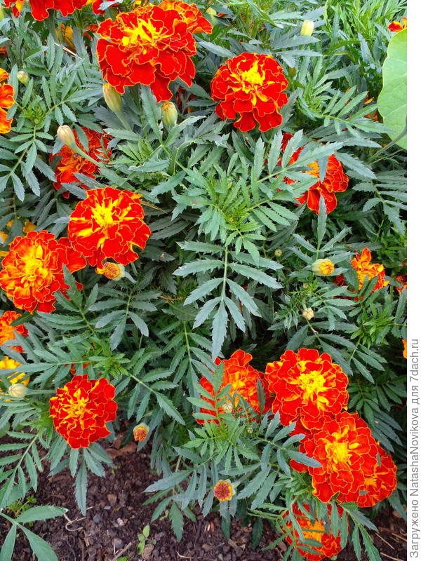 ну и так далее))