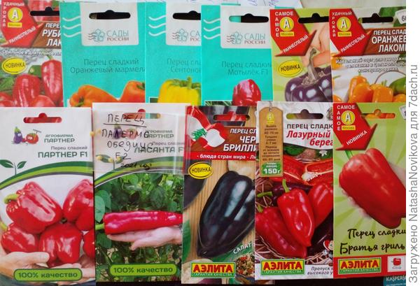 12 гибридов х 3 = 36 кустиков, 21 себе оставлю