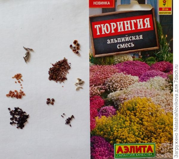 рассортировала))