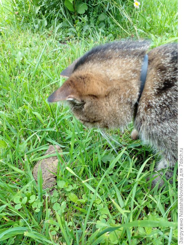 знакомимся с новым обитателем))