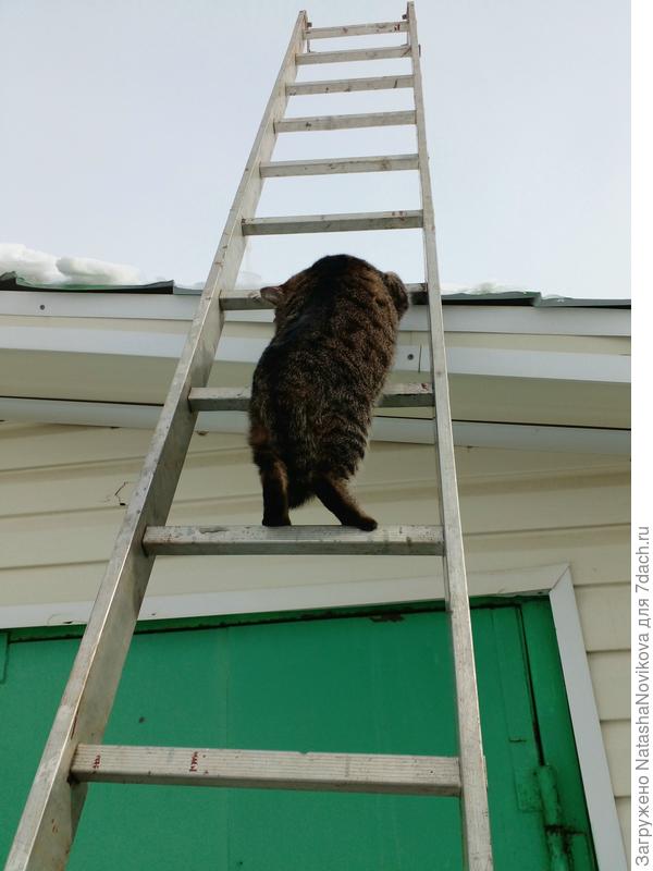 только вперёд))