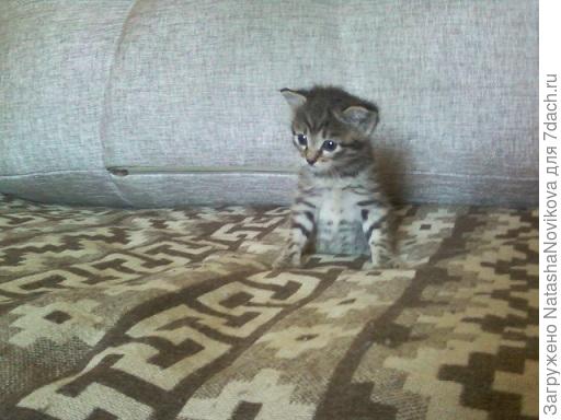 и как инопланетяне))