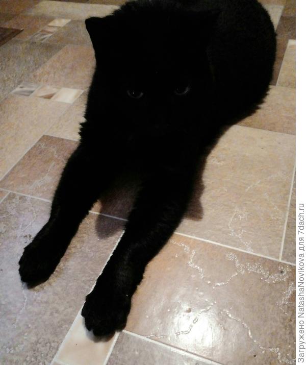 всё, устал убираться))