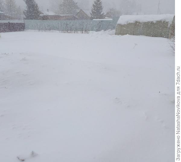 неба не видно(( сыпет и сыпет((