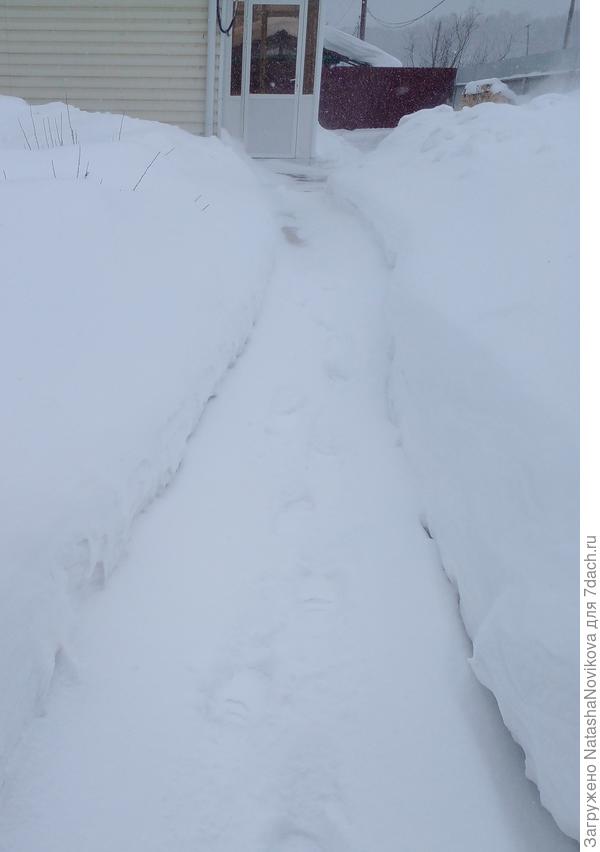 дорожки всё уже и уже