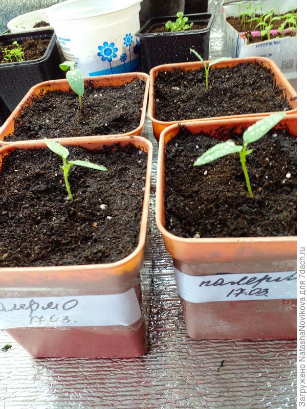 ну что, дружочки в новый путь))