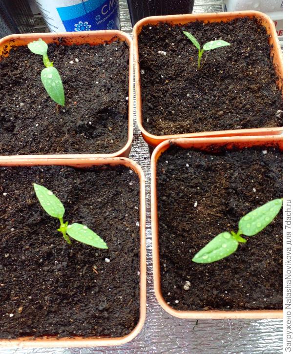 и пусть конец пути будет богатым на урожай))