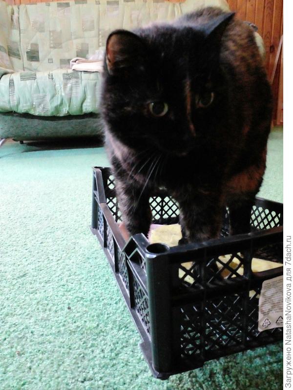 попросила освободить - так прямо мордашку не довольную состроила))