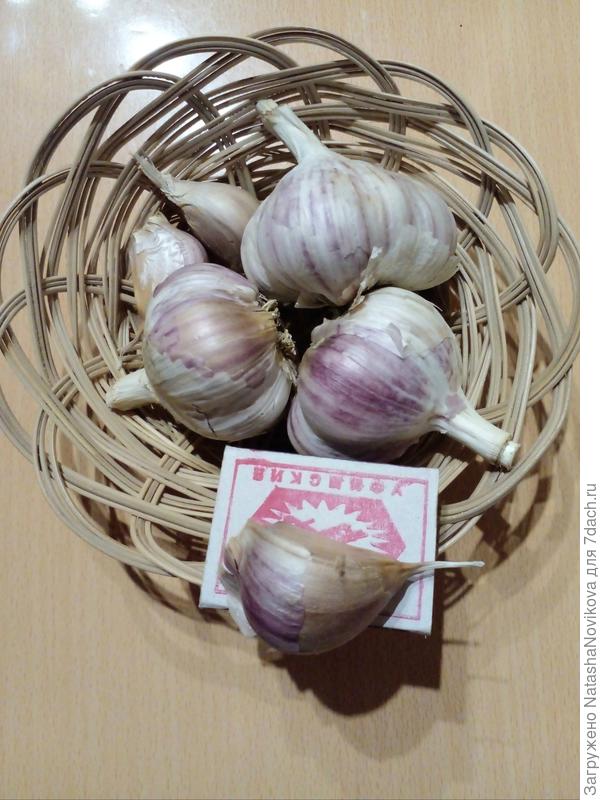 вот только что сфотала, хранится нормально