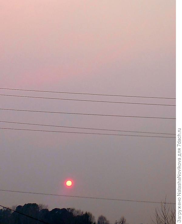 фото, к сожалению не передаёт цвет